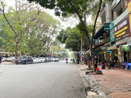 MẶT PHỐ NGUYỄN THỊ ĐỊNH – VỈA HÈ RỘNG – KINH DOANH SẦM UẤT – HIẾM NHÀ BÁN