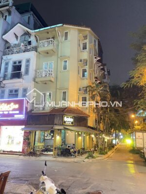 PHÂN LÔ NGUYỄN CHÁNH – LÔ GÓC KINH DOANH – NGÕ TO VỈA HÈ RỘNG