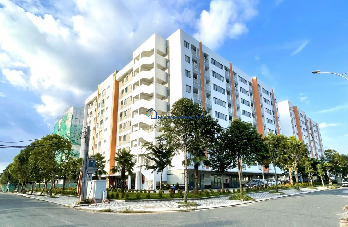 Cần Thơ: Năm 2024 tổng giá trị giao dịch bất động sản hơn 16.000 tỷ đồng