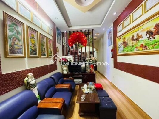Ô TÔ ĐỖ CỔNG – NGÕ THÔNG – NHÀ DÂN XÂY CHẮC CHẮN