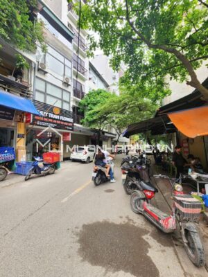 MẶT PHỐ THUỴ KHUÊ – ĐỒNG CỔ – HAI MẶT PHỐ KINH DOANH