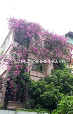 NHÀ 5 TẦNG – Ô TÔ – LÔ GÓC – MẶT TIỀN RỘNG