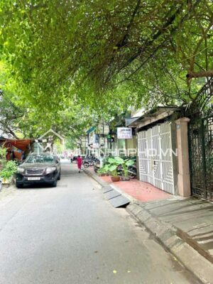 MẶT NGÕ THÔNG – KHU VỰC DÂN TRÍ CAO – NHÀ DÂN XÂY CHẮC CHẮN